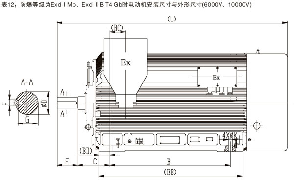 YBX3防爆高壓電機